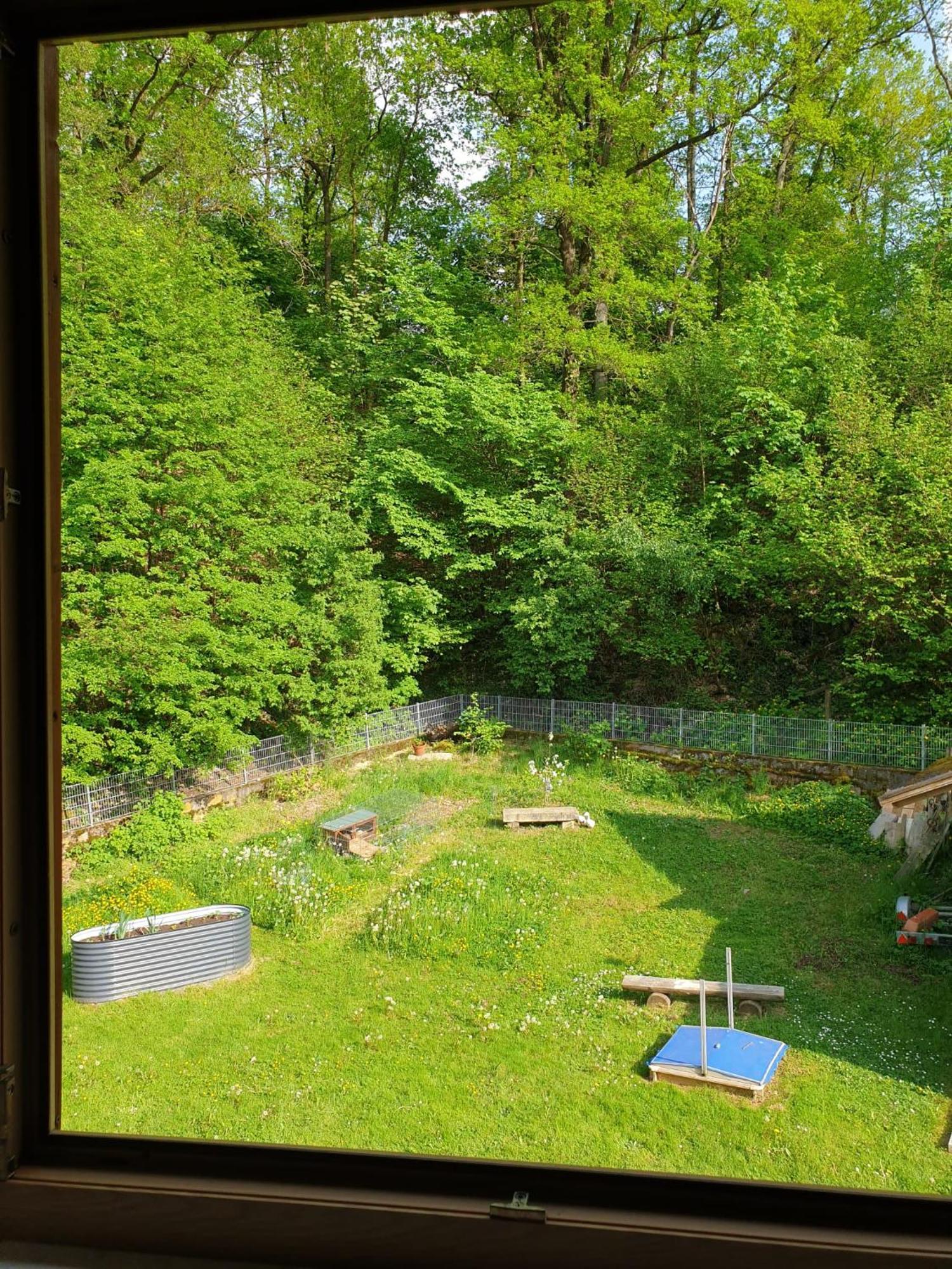 Ferienwohnung Und Sommerhaus Unter Der Burg Falkenberg  ภายนอก รูปภาพ