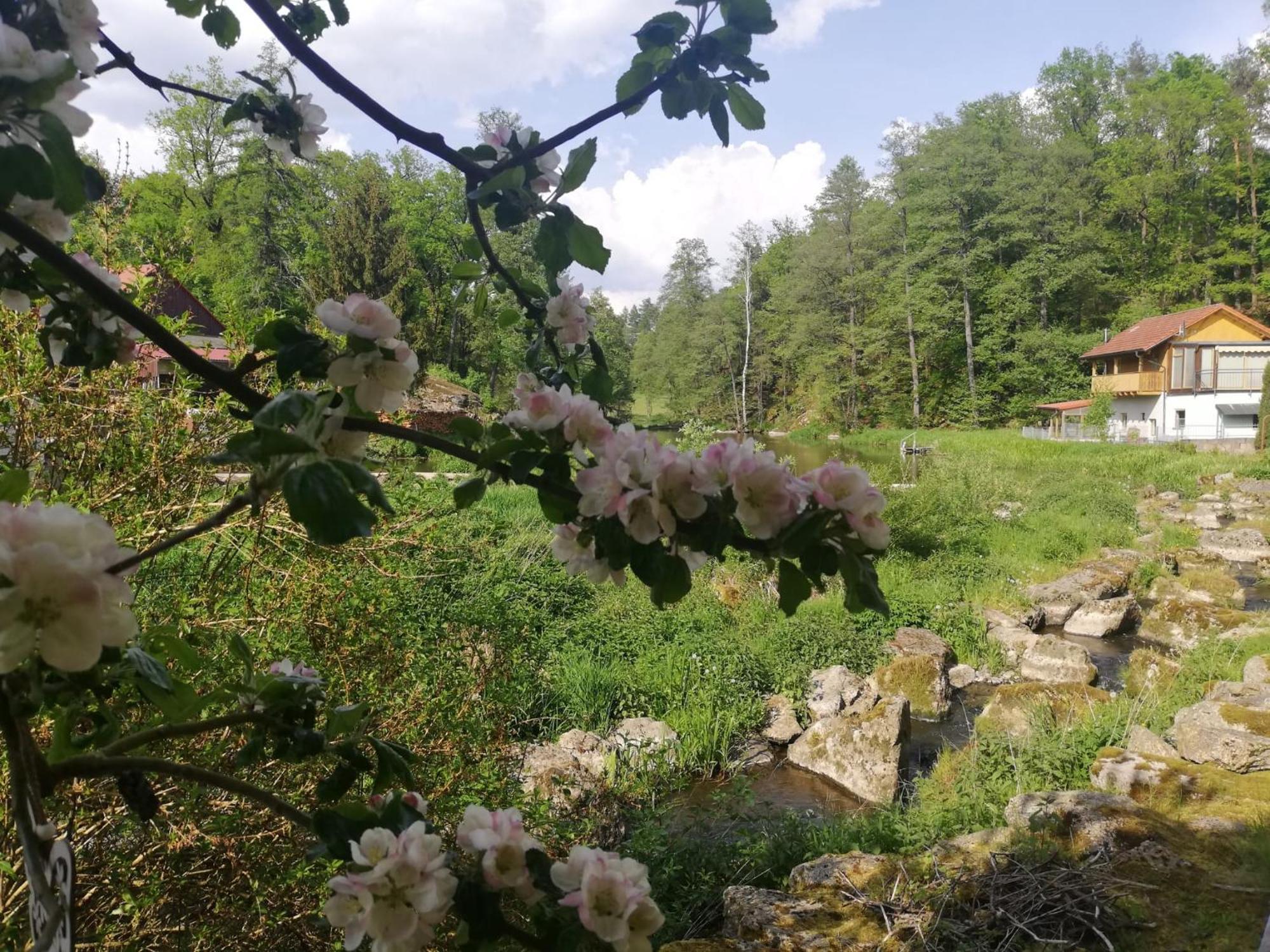 Ferienwohnung Und Sommerhaus Unter Der Burg Falkenberg  ภายนอก รูปภาพ